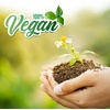image:imageMystic Moments  Cosmetic Butters  Avocado Blended Butter 100g  Pure amp Natural Cosmetic Butters Vegan GMO Free  Persea Gratissima Ideal for skincare and cosmetic formulations