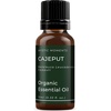 image:imageMystic Moments  Cajeput Organic Essential Oil  10ml  100 Pure  Melaleuca cajuputi gives a fresh camphorous amp fruity aroma for diffusers oil blends and fragrance formulations034 Fl Oz Pack of 1