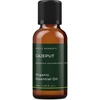 image:imageMystic Moments  Cajeput Organic Essential Oil  10ml  100 Pure  Melaleuca cajuputi gives a fresh camphorous amp fruity aroma for diffusers oil blends and fragrance formulations169 Fl Oz Pack of 1