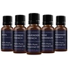 image:imageMystic Moments  Essential Oils of France Gift Starter Pack 5x10ml  Lavender Rosemary Basil Lemon amp Cypress