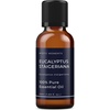 image:imageMystic Moments  Eucalyptus Staigeriana Essential Oil  10ml  100 Pure  Eucalyptus staigeriana gives a fresh camphoraceous clean aroma for diffusers oil blends and fragrance formulations169 Fl Oz Pack of 1