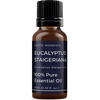 image:imageMystic Moments  Eucalyptus Staigeriana Essential Oil  10ml  100 Pure  Eucalyptus staigeriana gives a fresh camphoraceous clean aroma for diffusers oil blends and fragrance formulations034 Fl Oz Pack of 1