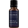 image:imageMystic Moments  Galangal Essential Oil  10ml  100 Pure  Alpinia galanga gives a warm spicy amp fresh aroma for diffusers oil blends and fragrance formulations017 Fl Oz Pack of 1
