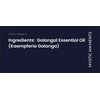image:imageMystic Moments  Galangal Essential Oil  10ml  100 Pure  Alpinia galanga gives a warm spicy amp fresh aroma for diffusers oil blends and fragrance formulations017 Fl Oz Pack of 1