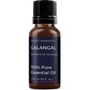 image:imageMystic Moments  Galangal Essential Oil  10ml  100 Pure  Alpinia galanga gives a warm spicy amp fresh aroma for diffusers oil blends and fragrance formulations034 Fl Oz Pack of 1