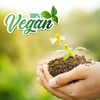 image:imageMystic Moments  Green Tea Powder  100g  Camellia Sinensis offers a raw botanical or textural ingredient for soaps masks and cosmetic formulas