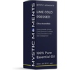 image:imageMystic Moments  Lime Cold Pressed Essential Oil  10ml  Citrus aurantifolia gives a zesty citrus fresh aroma for diffusers oil blends and fragrance formulations034 Fl Oz Pack of 1