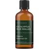 image:imageMystic Moments  Organic Eucalyptus Blue Mallee Essential Oil  10ml  Eucalyptus polybractea gives an intense fresh aroma for diffusers oil blends and fragrance formulations338 Fl Oz Pack of 1