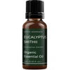 image:imageMystic Moments  Organic Eucalyptus Smithii Essential Oil  10ml  Eucalyptus smithii gives a soft fresh aroma for diffusers oil blends and fragrance formulations034 Fl Oz Pack of 1