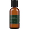 image:imageMystic Moments  Organic Lavender Essential Oil  10ml  Lavandula angustifolia gives a soft floral herbal aroma for diffusers oil blends and fragrance formulations101 Fl Oz Pack of 1