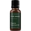 image:imageMystic Moments  Organic Star Anise Essential Oil  10ml  Illicium verum gives a warm sweet spicy aroma for diffusers oil blends and fragrance formulations034 Fl Oz Pack of 1