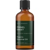 image:imageMystic Moments  Organic Sweet Fennel Essential Oil  10ml  Foeniculum vulgare dulce gives a warm sweet anise aroma for diffusers oil blends and fragrance formulations338 Fl Oz Pack of 1