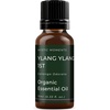 image:imageMystic Moments  Organic Ylang Ylang 1st Essential Oil  10ml  Cananga odorata gives an exotic sweet floral aroma for diffusers oil blends and fragrance formulations003 Fl Oz Pack of 1