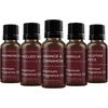 image:imageMystic Moments  Winter Fragrant Oil Starter Pack 5x10ml  Frankincense Mulled Wine Orange amp Cinnamon Vanilla amp Yuletide Spice