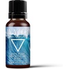 image:imageMystix London  The Water Element  Essential Oil Blend 10ml  for Diffusers Aromatherapy amp Massage Blends  Perfect as a Gift  Cancer Scorpio amp Pisces  Vegan GMO Free034 Fl Oz Pack of 1