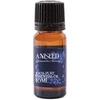 image:imageMystic Moments  Aniseed Essential Oil  10ml  Pimpinella anisum gives a sweet liquoricelike aroma for diffusers oil blends and fragrance formulations033 Fl Oz Pack of 1