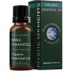 image:imageMystic Moments  Basil Chavicol Organic Essential Oil  10ml  100 Pure  Ocimum basilicum gives a strong warming herbal aroma for diffusers oil blends and fragrance formulations