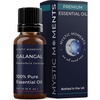 image:imageMystic Moments  Galangal Essential Oil  10ml  100 Pure  Alpinia galanga gives a warm spicy amp fresh aroma for diffusers oil blends and fragrance formulations017 Fl Oz Pack of 1