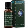 image:imageMystic Moments  Organic Eucalyptus Blue Mallee Essential Oil  10ml  Eucalyptus polybractea gives an intense fresh aroma for diffusers oil blends and fragrance formulations033 Fl Oz Pack of 1