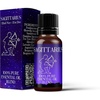 image:imageMystix London  Sagittarius Zodiac Essential Oil Blend  10ml  Woody citrus notes create a bright aromatic profile with dry wood depth and zesty lift034 Fl Oz Pack of 1