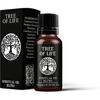 image:imageMystix London  Tree of Life  Spiritual Pure amp Natural Essential Oil Blend 10ml  for Diffusers Aromatherapy amp Massage Blends  Perfect as a Gift  Vegan GMO Free10ml