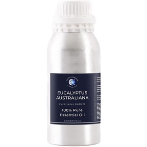 image:imageMystic Moments  Eucalyptus Australiana Essential Oil  10ml  Eucalyptus australiana gives a fresh clean amp camphoraceous aroma for diffusers oil blends and fragrance formulations3381 Fl Oz Pack of 1