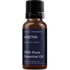 image:imageMystic Moments  Anethi Essential Oil  100ml  Anethum sowa gives a distinct herbaceous aroma for diffusers oil blends and fragrance formulations034 Fl Oz Pack of 1