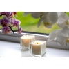 image:imageMystix London  Citrus amp Rose  Scented Candle Large 29cl  Best Aroma for Home Kitchen Living Room and Bathroom  Perfect as a Gift  Reusable Glass Jar29CL
