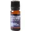 image:imagePeppermint and Rosemary Oil Burner Gift Set