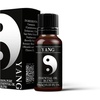 image:imageMystic Moments  Yang Essential Oil Gift Set  5x10ml  Cinnamon leaf frankincense rosemary oregano and palmarosa offer varied aroma profiles ideal for gifting