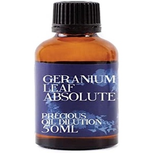 image:imageMystic Moments  Geranium Leaf Absolute Oil Dilution 3 in Jojoba  100ml  Pelargonium graveolens absolute oil dilution in jojoba oil for massage skincare and aromatherapy applications100ml