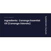 image:imageMystic Moments  Cananga Essential Oil  10ml  100 Pure  Cananga odorata gives an exotic amp bright aroma for diffusers oil blends and fragrance formulations338 Fl Oz Pack of 1