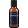image:imageMystic Moments  Juniper Berry Himalayan Essential Oil  10ml  Juniperus communis gives a fresh piney woody aroma for diffusers oil blends and fragrance formulations169 Fl Oz Pack of 1