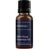 image:imageMystic Moments  Niaouli Essential Oil  10ml  100 Pure  Melaleuca quinquenervia gives a sweet fresh camphoraceous aroma for diffusers oil blends and fragrance formulations034 Fl Oz Pack of 1