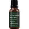 image:imageMystic Moments  Organic Peppermint Arvensis Essential Oil  100ml  Mentha arvensis gives a strong cooling mint aroma for diffusers oil blends and fragrance formulations034 Fl Oz Pack of 1
