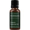 image:imageMystic Moments  Organic Ravensara Essential Oil  10ml  Ravensara aromatica gives a fresh herbaceous woody aroma for diffusers oil blends and fragrance formulations033 Fl Oz Pack of 1