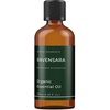image:imageMystic Moments  Organic Ravensara Essential Oil  10ml  Ravensara aromatica gives a fresh herbaceous woody aroma for diffusers oil blends and fragrance formulations338 Fl Oz Pack of 1