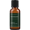 image:imageMystic Moments  Organic Ravensara Essential Oil  10ml  Ravensara aromatica gives a fresh herbaceous woody aroma for diffusers oil blends and fragrance formulations169 Fl Oz Pack of 1