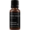 image:imageMystic Moments  Rosa Gallica Absolute Oil  30ml  Rosa gallica flower absolute with a rich floral aroma and fresh subtly citruswoody undertones034 Fl Oz Pack of 1