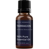 image:imageMystic Moments  Tarragon Essential Oil  10ml  Artemisia dracunculus gives a sweet herbaceous anise aroma for diffusers oil blends and fragrance formulations034 Fl Oz Pack of 1