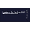 image:imageMystic Moments  Tea Tree Organic Essential Oil  100ml  100 Pure  Melaleuca alternifolia gives a fresh herbaceous aroma for diffusers oil blends and fragrance formulations