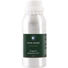 image:imageMystic Moments  Organic Clary Sage Essential Oil  10ml  Salvia sclarea gives a herbaceous softly floral aroma for diffusers oil blends and fragrance formulations1691 Fl Oz Pack of 1