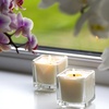 image:imageMystix London  5 x Fresh Linen amp Cucumber  Scented Candle Small 8cl  Best Aroma for Home Kitchen Living Room and Bathroom  Perfect as a Gift  Reusable Glass Jar8CL
