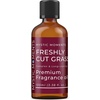 image:imageMystic Moments  Freshly Cut Grass Fragrance Oil  1Kg  Perfect for Soaps Candles Bath Bombs Oil Burners Diffusers and Skin amp Hair Care Items100ml