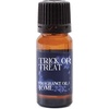 image:imageMystic Moments  Trick or Treat Fragrance Oil  1Kg034 Fl Oz Pack of 1